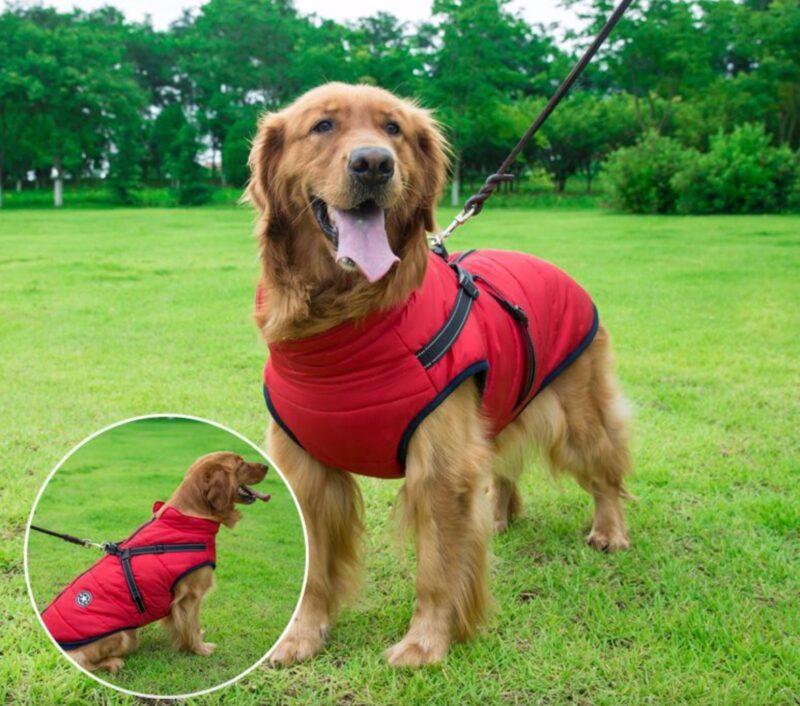 Roupas de Frio Para Cachorros PuppyBabe™ - Jaqueta Impermeável Super Confortável