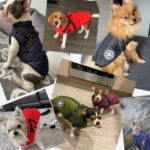 Roupas de Frio Para Cachorros PuppyBabe™ - Jaqueta Impermeável Super Confortável