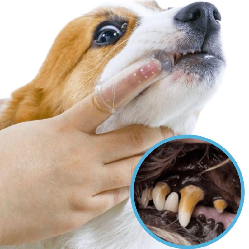 Escova Dental Ultra Higiene Para PET