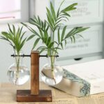 Vaso de Vidro Para Plantas Com Suporte de Madeira - Pretty Plant™
