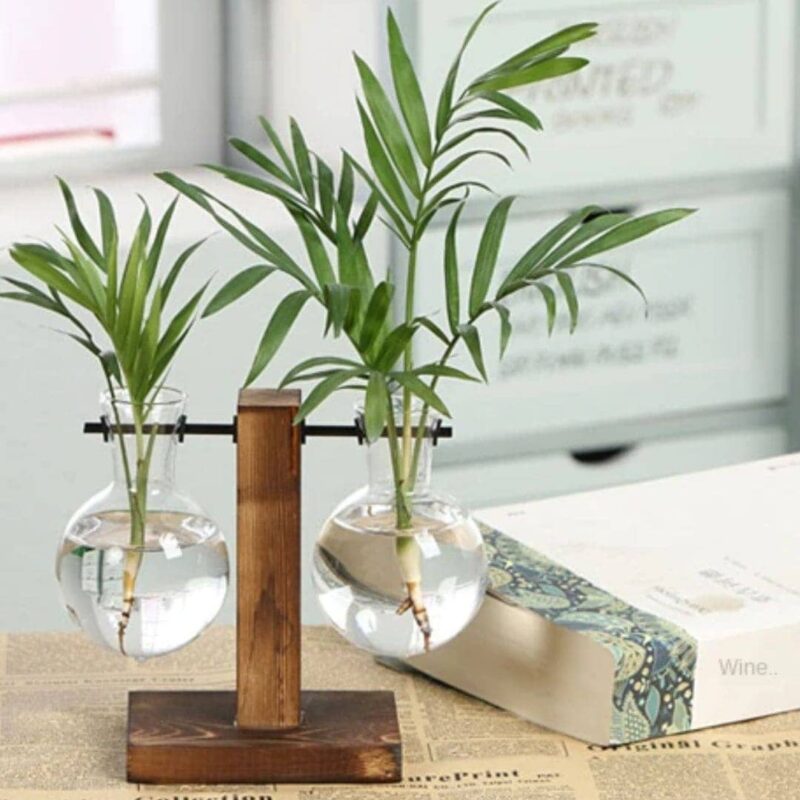 Vaso de Vidro Para Plantas Com Suporte de Madeira - Pretty Plant™