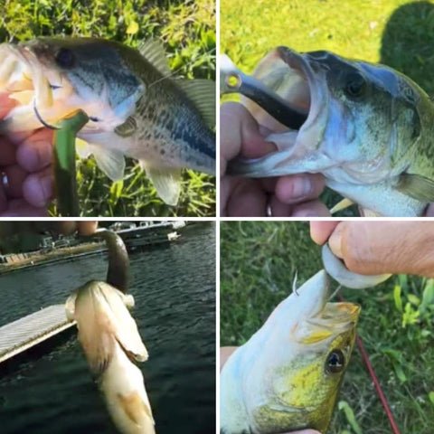 Iscas Para Tilápia Soft Fishing 10cm 6g Wobble Tail - 5/10 unidades 10