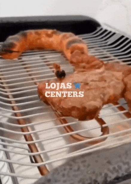 Churrasqueira Elétrica Potente Top Grill Portátil Lojas Centers
